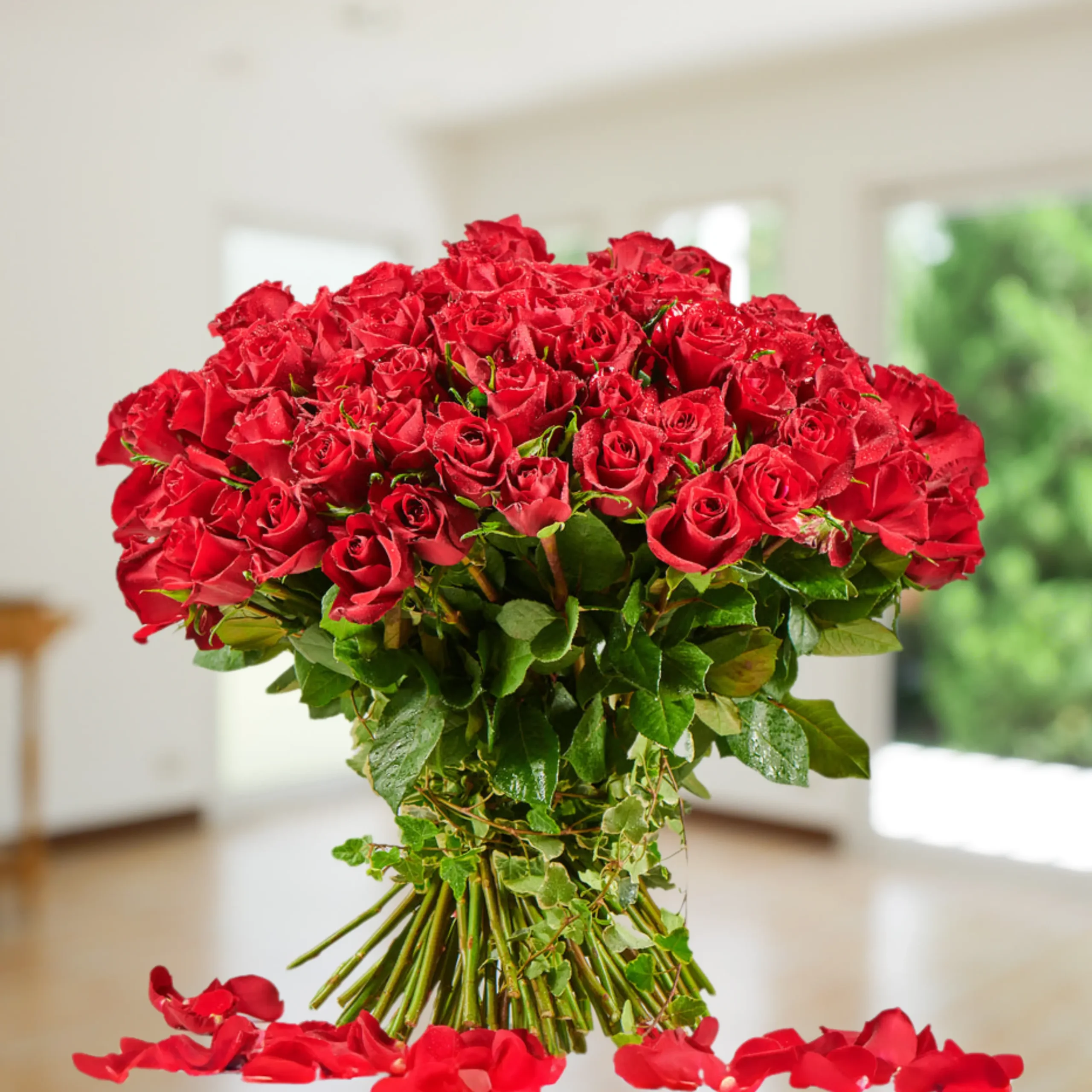 Red Rose Flower Ajman