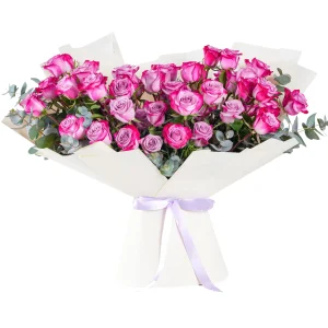 Buy 50 Purple Roses