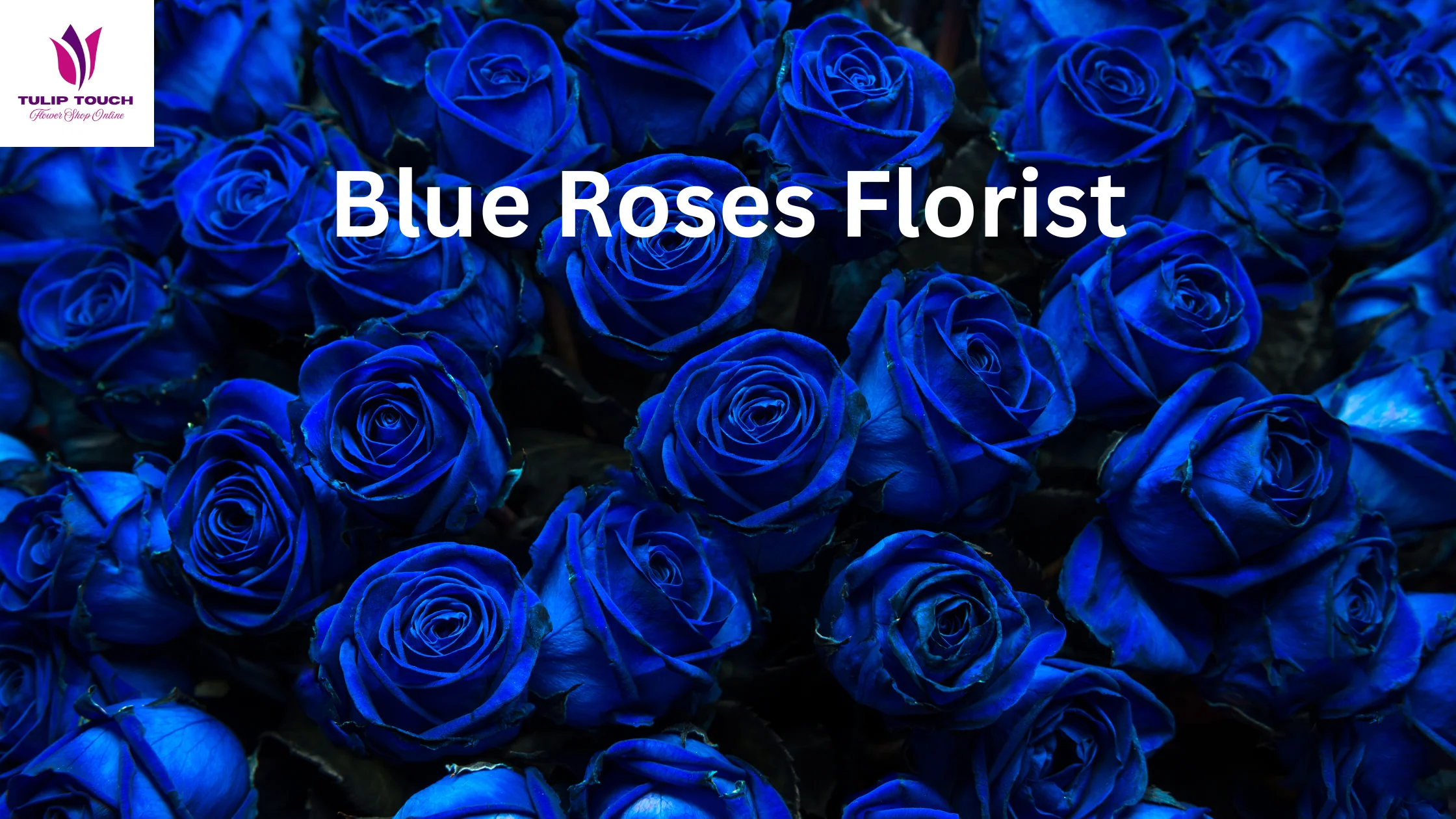 Blue Roses Florist