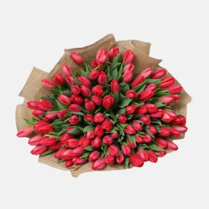 100 Red Tulips Bouquet