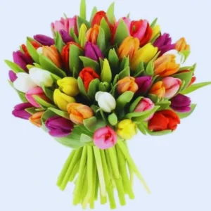 tulip flower delivery