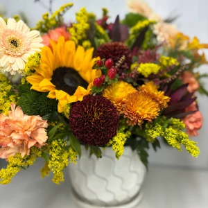 golden and brown chrysanthemum daisies