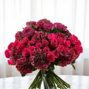 New Red Rose