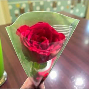 Premium Single Rose Bouquet