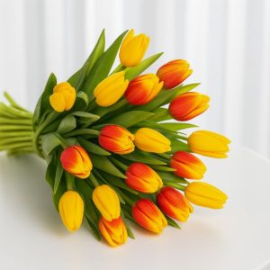Tulip Flower Delivery