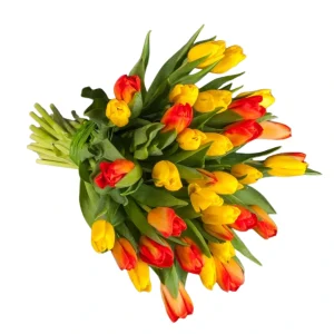 tulip flower delivery