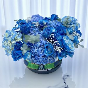 Blue Azure Roses