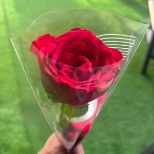 single rose bouquet