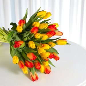 Tulip Flower Delivery